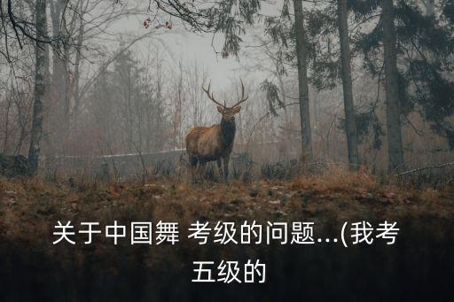 五级民族舞蹈考级视频,九级民族舞蹈考级视频全部