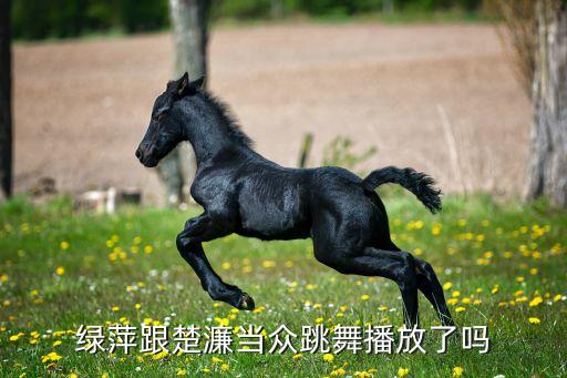 梦之恋培训中心舞蹈