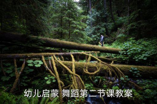 俄国舞蹈简单教学设计,俄国的改革教学设计一等奖