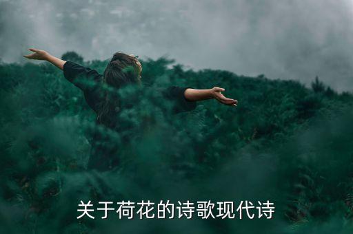 莲花星舞蹈