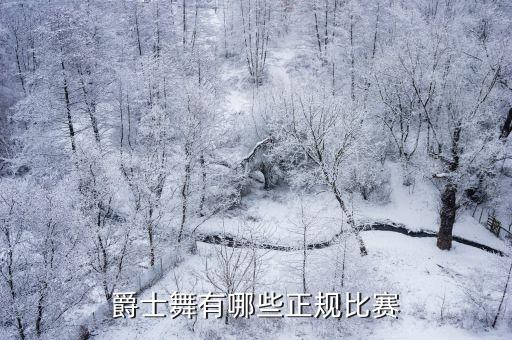 舞蹈赛有哪些,舞蹈大学有哪些学校