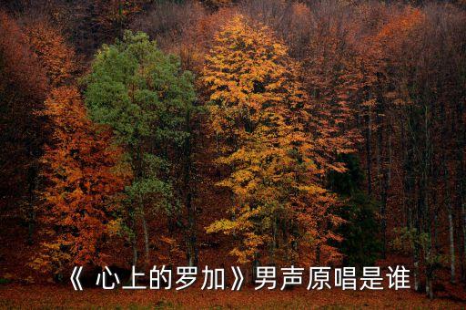 心上的罗佳舞蹈,心上罗佳舞蹈背面演示