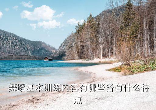 体育舞蹈运动要点,山东省体育舞蹈运动协会