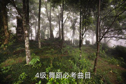 舞蹈后踢腿 音乐,舞蹈基本功踢腿音乐mp3