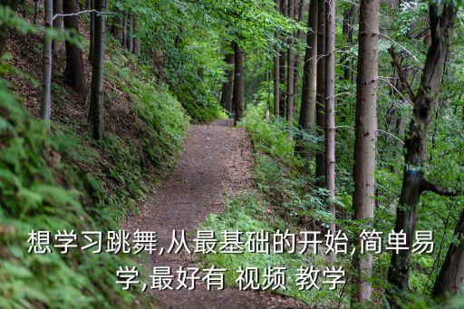 单人劲爆舞蹈教学视频,劲爆舞蹈教学视频 现代