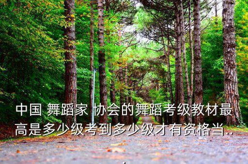 中国舞蹈家协会八级8