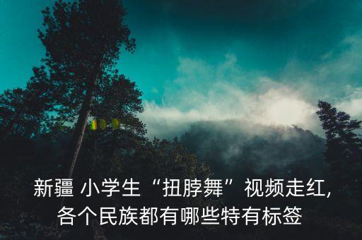基本小学新疆舞蹈,新疆舞蹈的基本动作