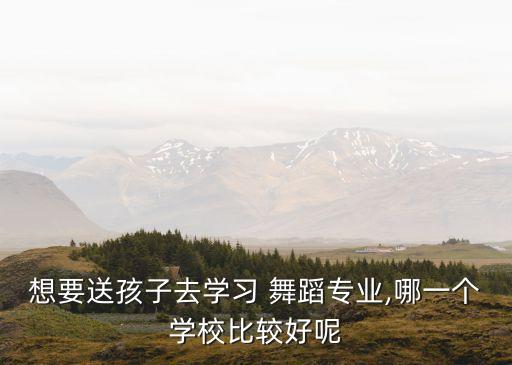 龙井市哪个舞蹈班最好,河南开封哪个舞蹈班最好