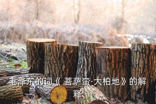 菩萨蛮教学舞蹈,古典舞菩萨蛮舞蹈完整
