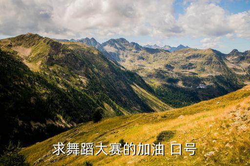 单位广场舞舞蹈队口号,广场舞舞蹈队简介怎么写