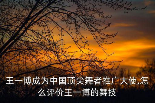 中国舞蹈协会街舞宣传