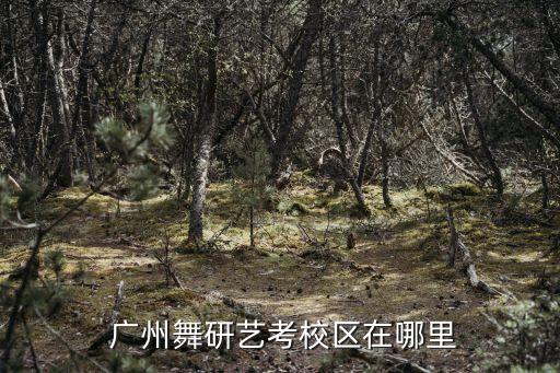 艺穆舞蹈广州,广州舞蹈学校有哪些