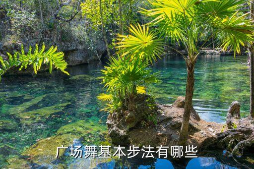 舞蹈教学视频12步自由,教学舞蹈