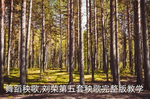 刘荣舞蹈秧歌,刘荣第五套秧歌完整版教学
