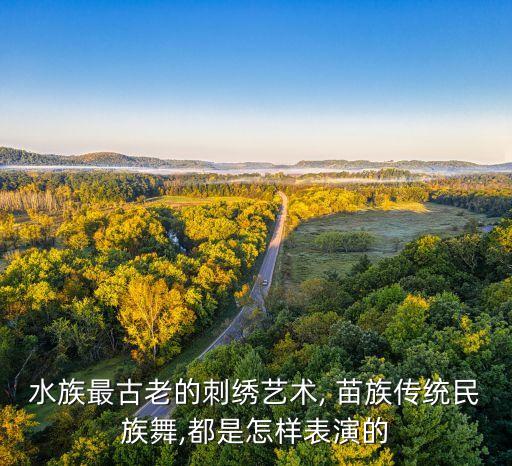 最欢快的苗族舞蹈,欢快的苗族舞蹈一等奖独舞