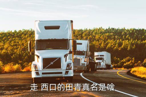 走西口双人舞蹈视频,舞蹈走西口舞台表演视频