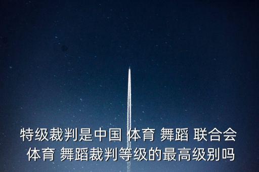 中国体育联合舞蹈协会