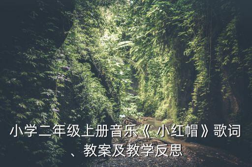 小红帽舞蹈分解动作,郑多燕小红帽动作分解图