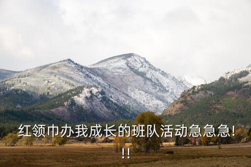 我是红领巾 舞蹈视频.