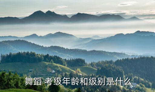 舞蹈考级从多少级开始,舞蹈一级考级舞蹈视频大全