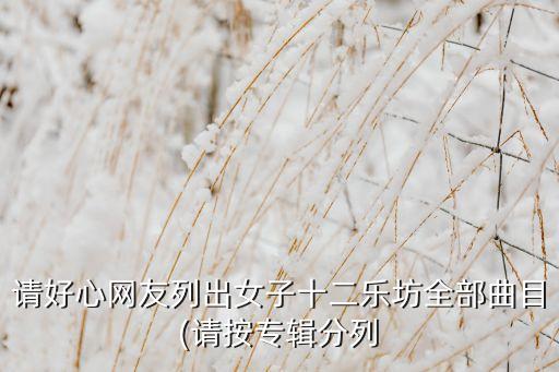 大阪城的姑娘纯音乐舞蹈,新大阪城的姑娘舞蹈