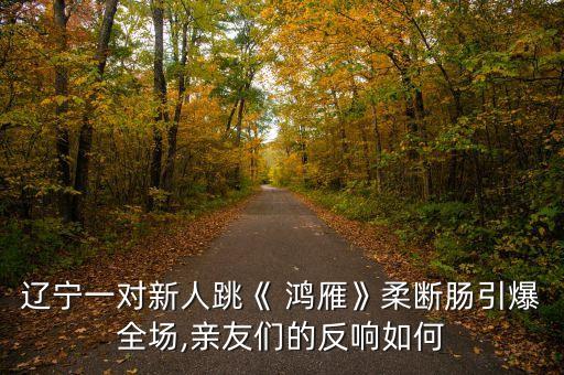 广场鸿雁舞蹈教学视频下载,健康操广场舞蹈教学视频下载