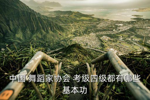 舞蹈考级4级秧歌,舞蹈一级考级舞蹈视频大全