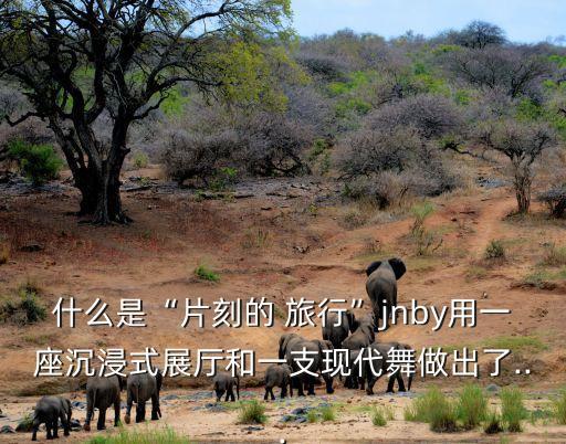 旅行 舞蹈,旅行舞蹈视频少儿