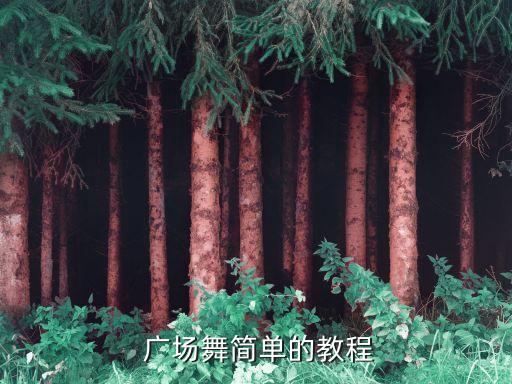 青儿广场舞16步入门舞蹈