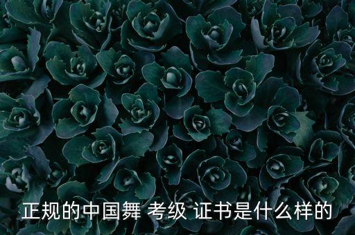 江苏省舞蹈考级证书,舞蹈考级证书哪个是国家承认的
