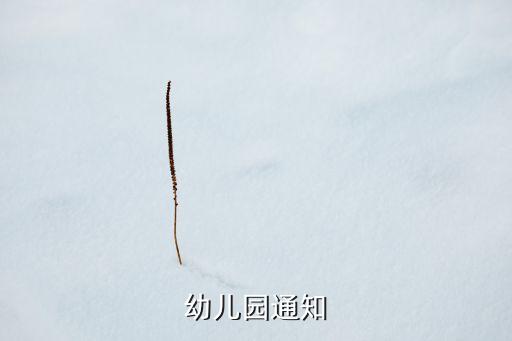 雏鹰展翅少儿舞蹈视频,舞蹈雏鹰展翅节目串词