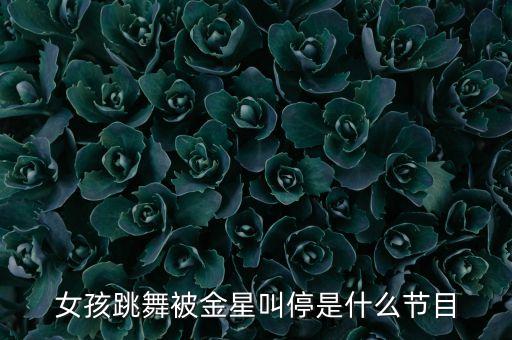 中国好舞蹈赞助商,舞蹈风暴赞助商