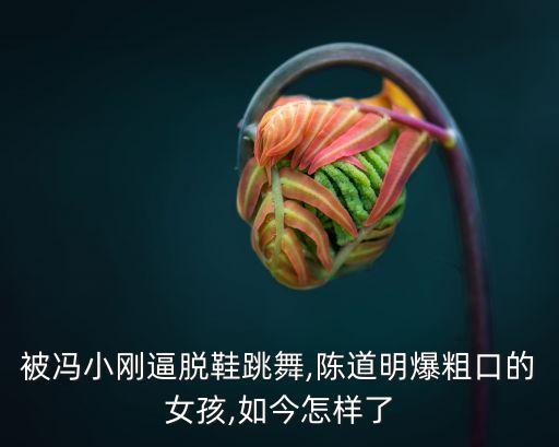 飞天舞蹈苗苗,苗苗舞蹈666