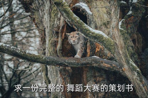 校园舞蹈比赛主题,校园艺术节舞蹈比赛