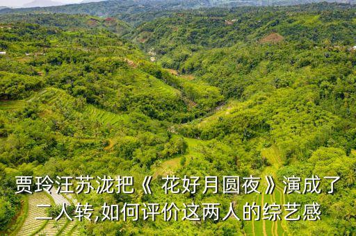 花好月圆夜简单舞蹈扇子舞,开门红的舞蹈视频扇子舞简单的