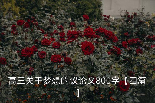 让梦起飞舞蹈视