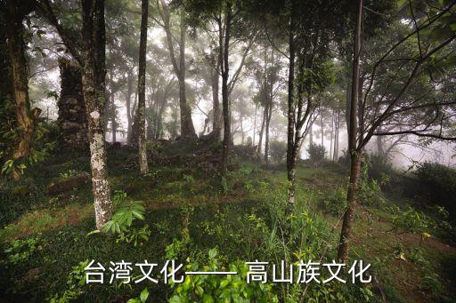 高山族头发舞蹈,台湾高山族舞蹈视频