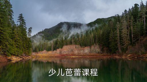 女孩芭蕾舞舞蹈培训,柳州芭蕾舞舞蹈培训哪家好