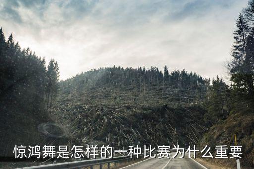 惊鸿舞蹈教学视频,人间惊鸿客舞蹈教学慢动作