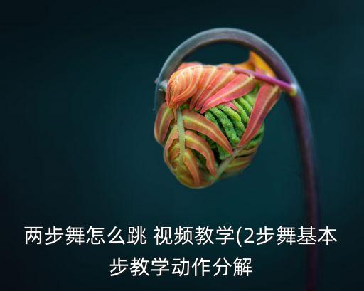 舞蹈生基础动作视频大全,内蒙古舞蹈基础动作视频