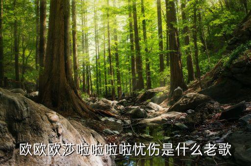舞蹈音乐莎啦啦啦啦,莎啦啦啦啦in themorning