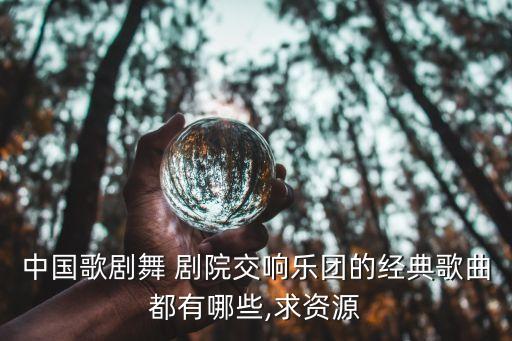 中国歌剧院舞剧院7级舞蹈,北京歌剧舞剧院