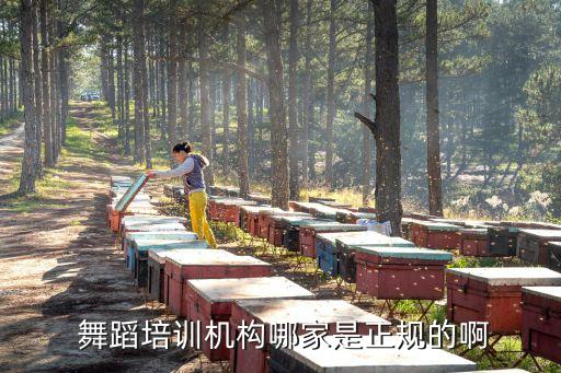 北京海淀区舞蹈班价格
