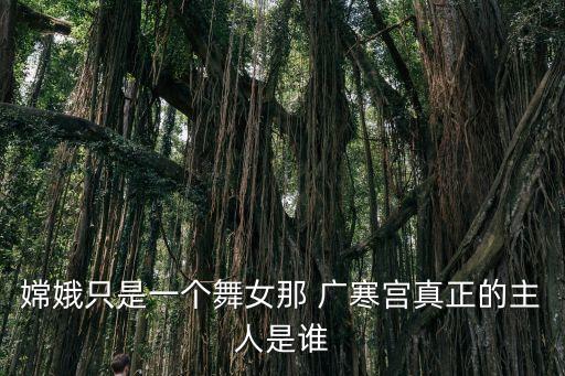 广寒宫舞蹈完整动作