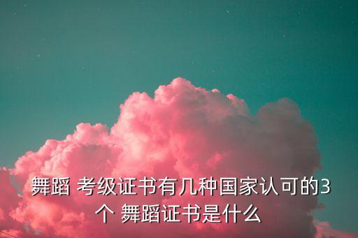 北京舞蹈学院芭蕾考级五级