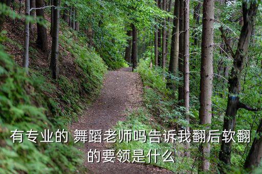 舞蹈下腰后空翻技巧,舞蹈跪着下腰技巧视频教学