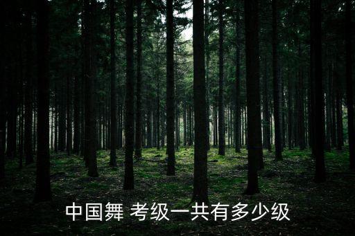 舞蹈考级2020考几个,中国舞考级考几个舞蹈