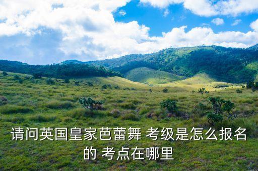 舞蹈考级能查到考点吗
