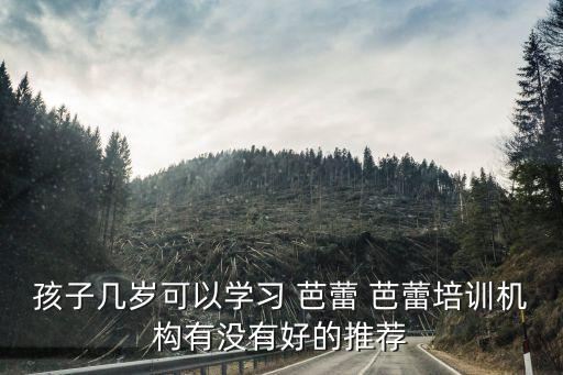 中国芭蕾舞蹈学校儿童,春天的芭蕾儿童舞蹈