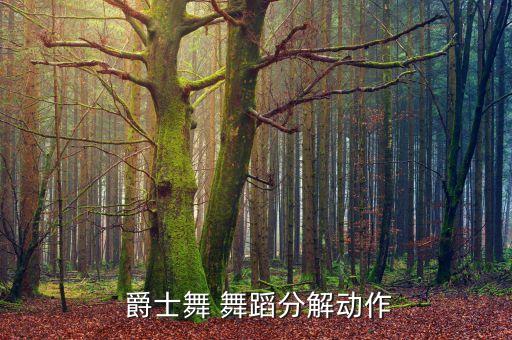 单人爵士舞蹈教学视频教程,mercy爵士舞蹈视频教程